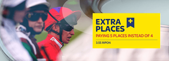 Matched Betting For Dummies Skybet Extra Place Offer