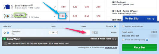 Sky Bet Betslip