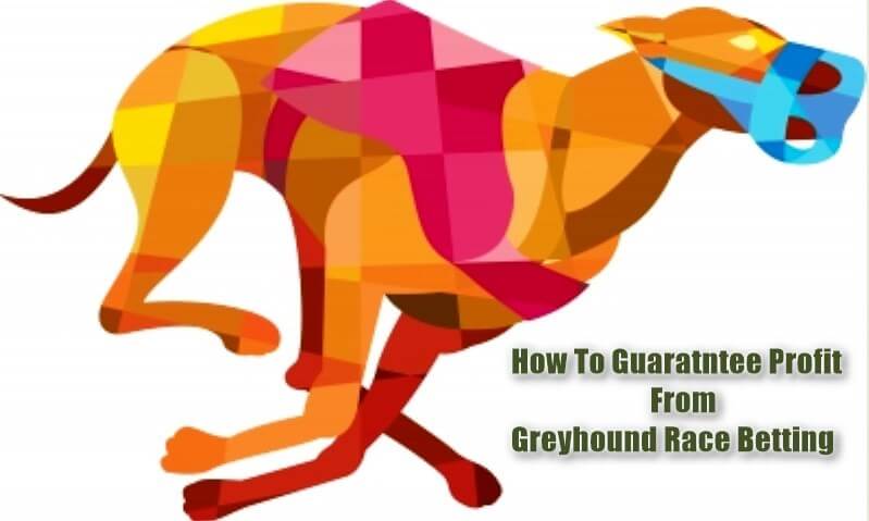 Greyhound Betting Strategy How To Lock-in Profit Feature