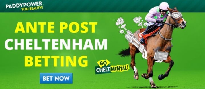 cheltenham betting, ante post image