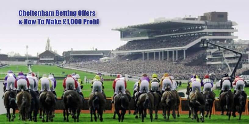 cheltenham betting, top image