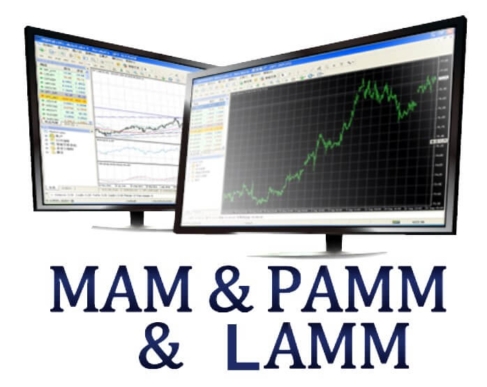 Forex PAMM MAM LAMM