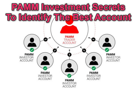 PAMM Investment Best Account feature image