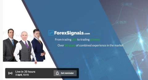 forexsignal live stream