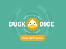 Duckdice logo