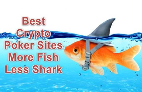 best crypto poker sites feature image