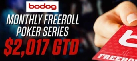 bodog poker freeroll tournament