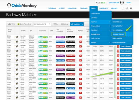 oddsmonkey each way matcher