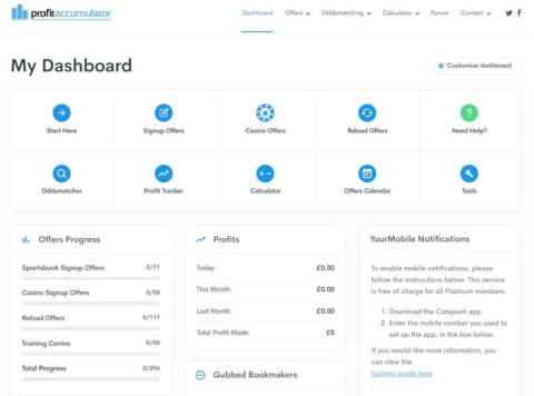 profit accumulator screenshot dashboard
