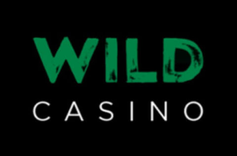 wild casino logo