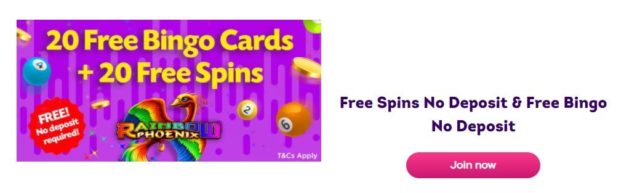 free bingo welcome bonus no deposit