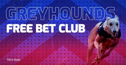 betfred greyhound club