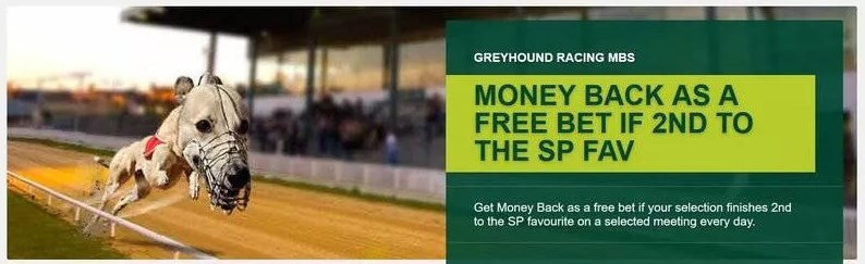 paddy power greyhound second to sp offer