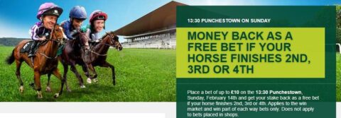 paddy power horse 2nd 3rd 4th money back offer