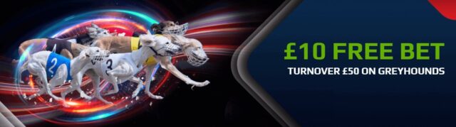 netbet greyhound offer