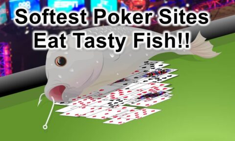 softest poker sites feature image