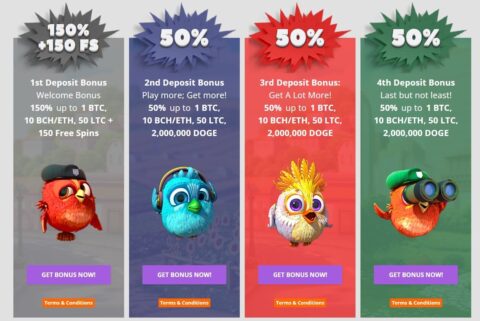 cryptowild bonus package plan